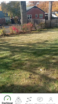 Neatfreak Lawn care