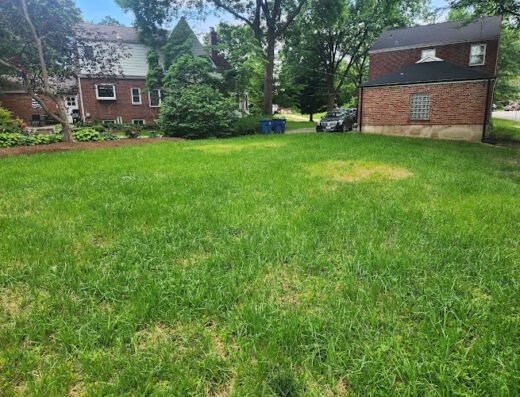 New Life Landscaping, LLC – lawn care in St. Louis