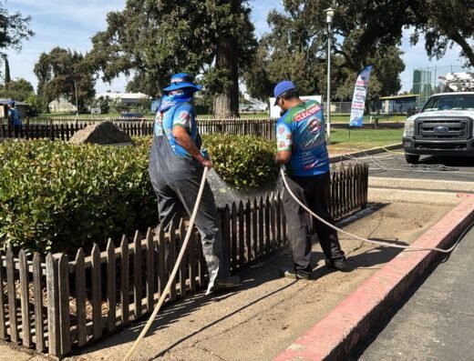 No Moss Softwash – pressure washing in Sacramento (photo 2)
