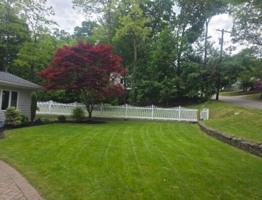 Octavio’s Landscape and Lawn Care