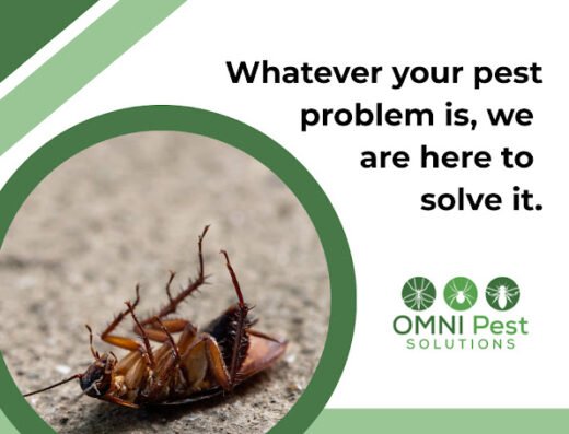 OMNI Pest Solutions – pest control in St. Louis