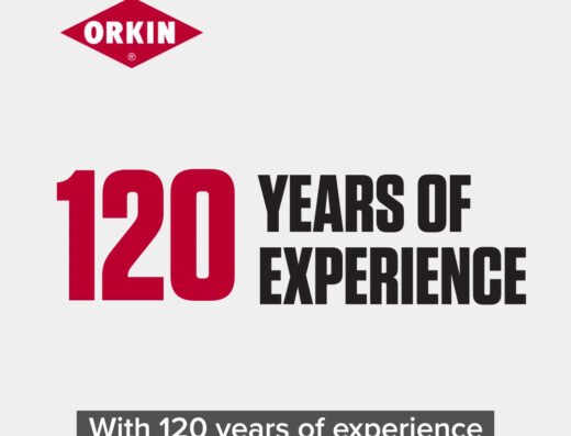 Orkin – pest control in Cincinnati (photo 1)