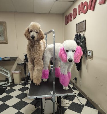 Ortega's Mobile Pet Grooming