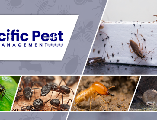 Pacific Pest Management – pest control in San Jose