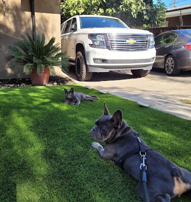 Paramount Landscaping – Lawn care in San Jose