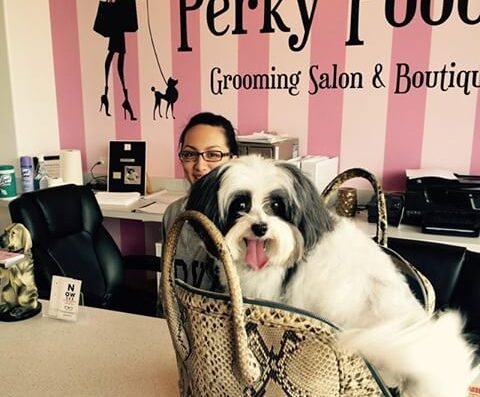 Perky Poodle Grooming & Boutique