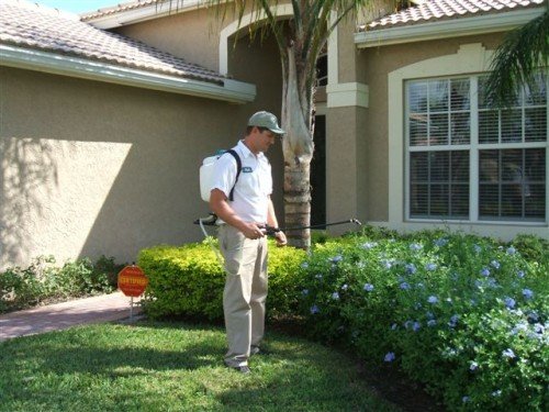 Pest Control Houston King
