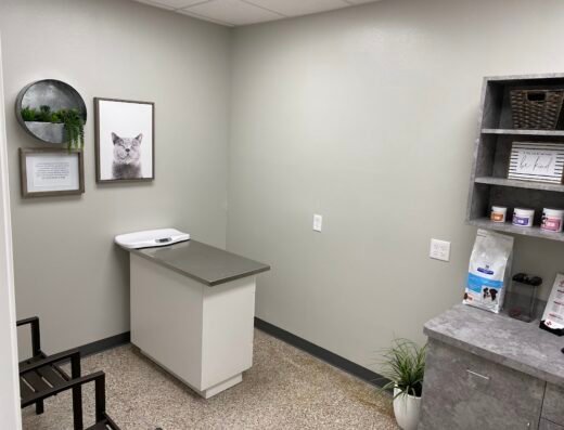 Pet Clinic On Bellfort