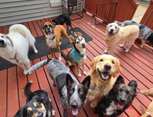 Pet People HTX