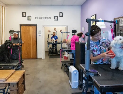 Pet Stylista – pet grooming in Sacramento