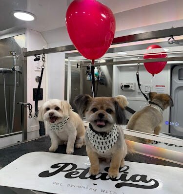 Petalia Pet Grooming