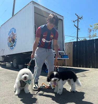 Pets of the bay