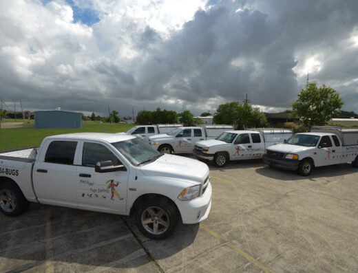Pied Piper Pest Control Inc – pest control in New Orleans