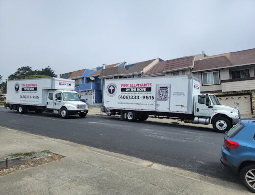 Pink elephants on the move