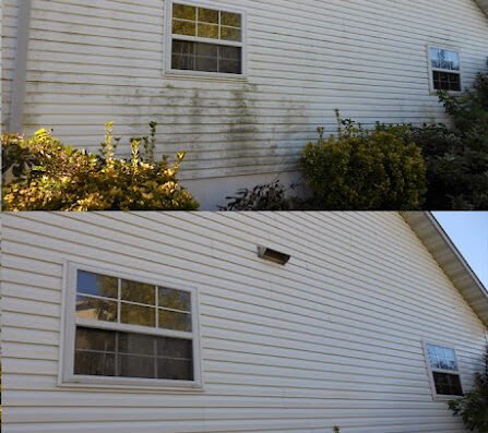 Pinnacle Pressure Washing & Roof Cleaning – pressure washing in Sacramento
