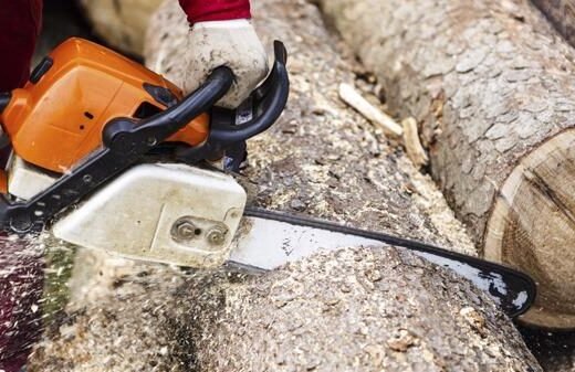 Pittsburgh Lumberjack Tree Service