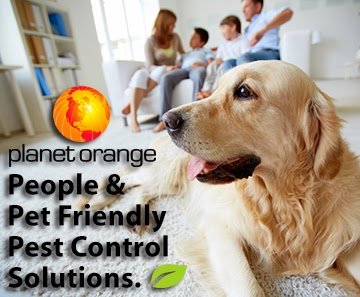 Planet Orange – pest control in San Jose