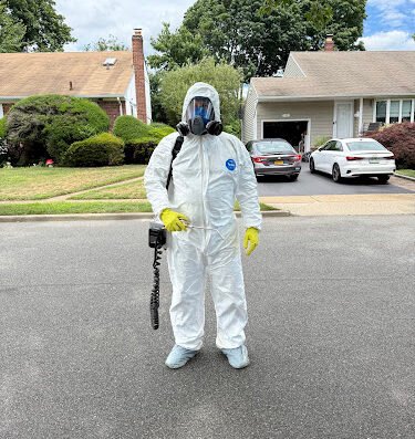 Positive Pest Management – pest control in New York