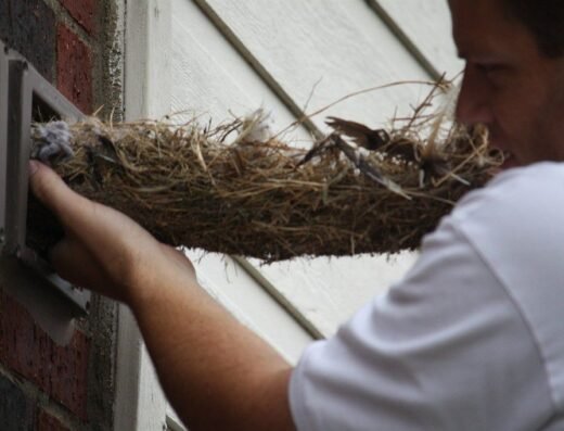 Premium Air Duct Cleaners