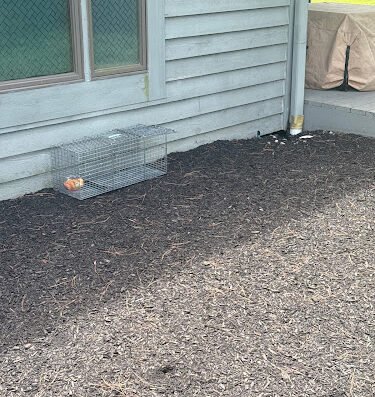 Prestige Pest Solutions