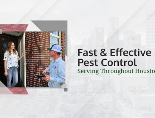 Preventive Pest Control