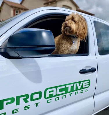 Pro Active Pest Control – pest control in San Jose