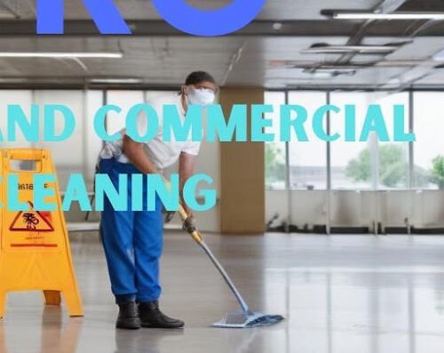 Pro House and Commercial Cleaning