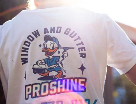 Pro-Shine Window and Gutter Cleaning – pressure washing in Sacramento (photo 1)