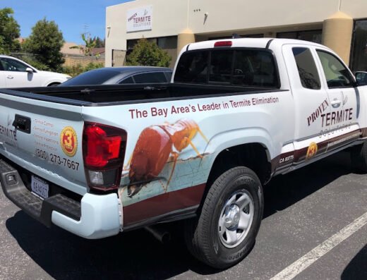 Proven Termite Solutions – pest control in San Jose