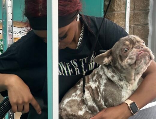 Pup Cup Heaven – pet care in Cincinnati (photo 2)