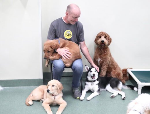PUPS Pet Club – Streeterville