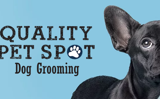 Quality Pet Spot Silver Creek – pet care in San Jose