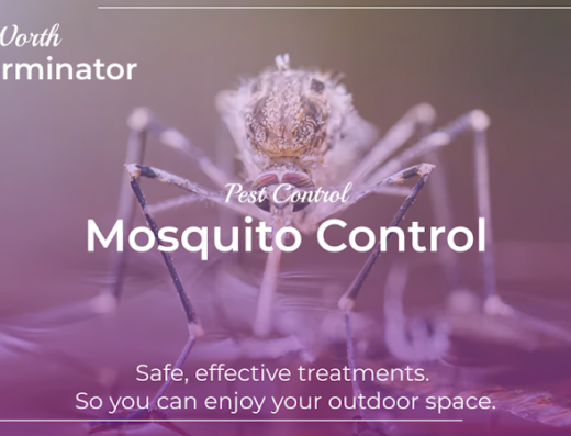 RED Pest Control