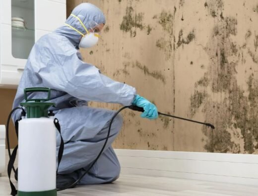 Reliable Handyman Services