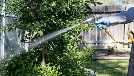 Reliant Pest Management