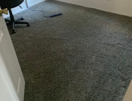 Reyes Maids – Fort Worth, by Monarca Home Services