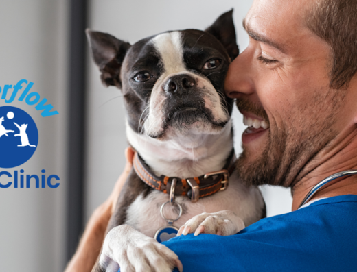 Riverflow Pet Clinic