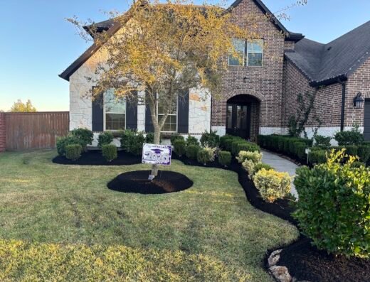 Rogelio Ortega Lawn Services