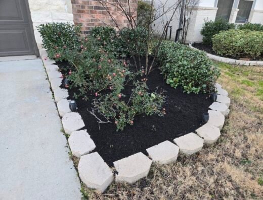 Rogelio Ortega Lawn Services