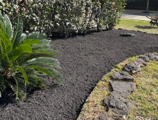 Rogelio Ortega Lawn Services