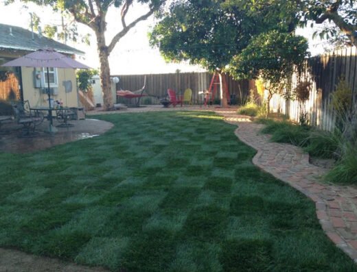 RototillerGuy Landscape Contractor