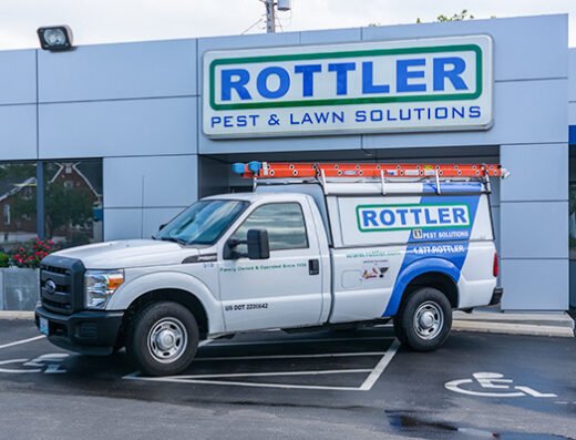 Rottler Pest Solutions – pest control in St. Louis