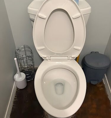 Rover Cleaning Services Chicago
