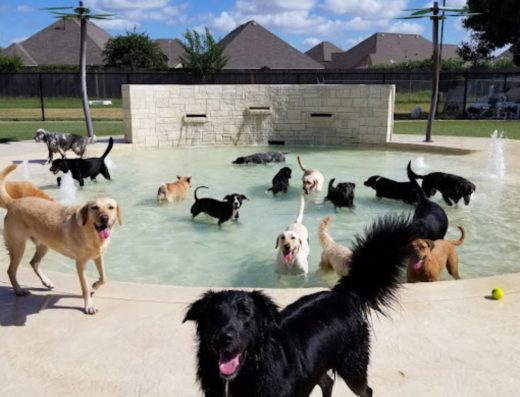 Rover Oaks Pet Resort, Houston