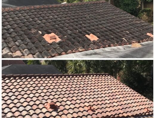 Safely Softwash – pressure washing in Orlando (photo 2)