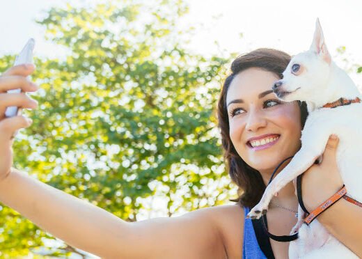 Saint Louis Dog Butler – pet care in St. Louis
