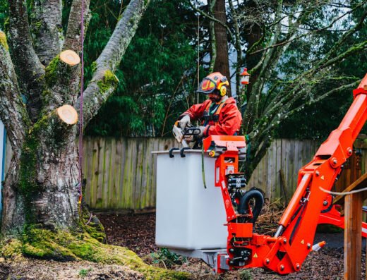 Samsara Tree Care – tree service in Portland