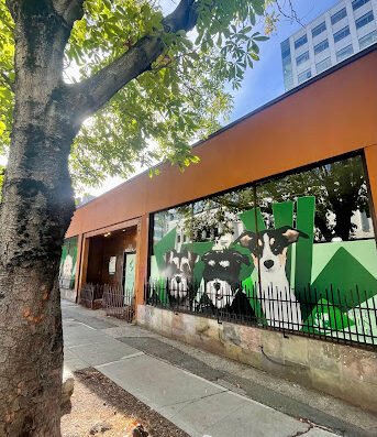 Seattle Canine Club – Westlake Ave N