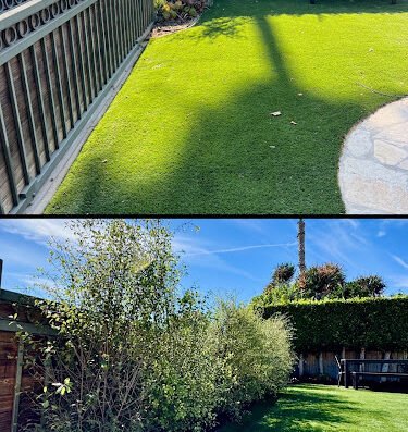 Socal Landscape & Gardening