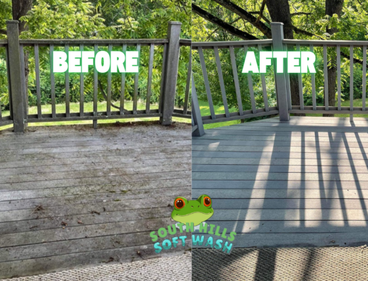 South Hills Softwash and Exterior Cleaning – pressure washing in Pittsburgh (photo 3)